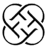 TechyFusion Logo